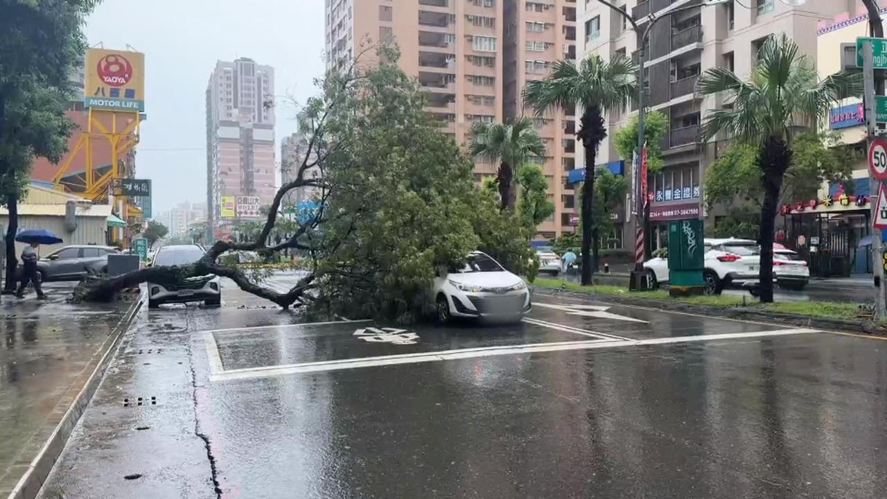 高雄「8月雨狂下1712毫米」！　樹倒波及2車、步道泥流滾滾