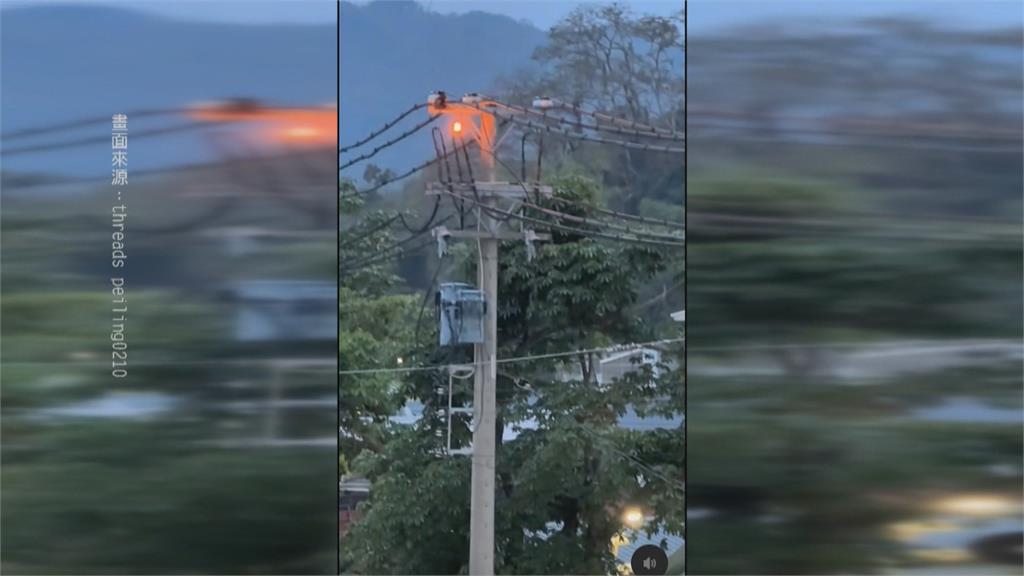 高雄鼓山電桿突爆炸噴火光　經查「又是他」誤觸一度停電