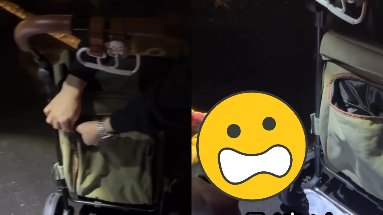 正妹接機驚魂！推車摸到「恐怖活蛇」　捕蛇人揭品種她崩潰喊：命差點沒了