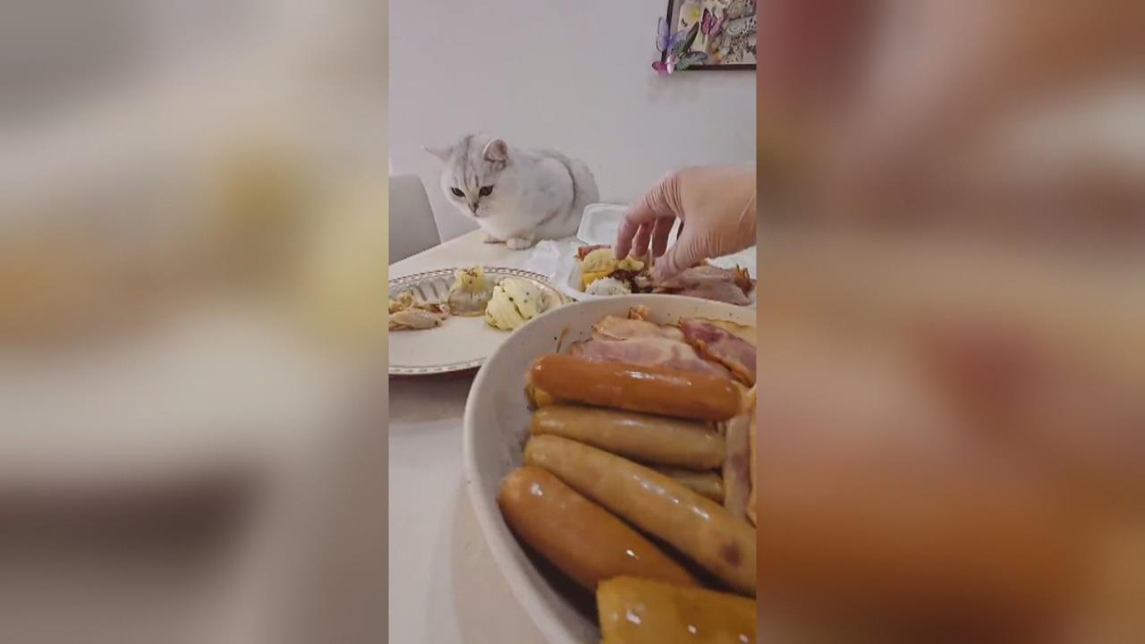 中國星級飯店賣「剩菜盲盒」　反映當地經濟蕭條問題