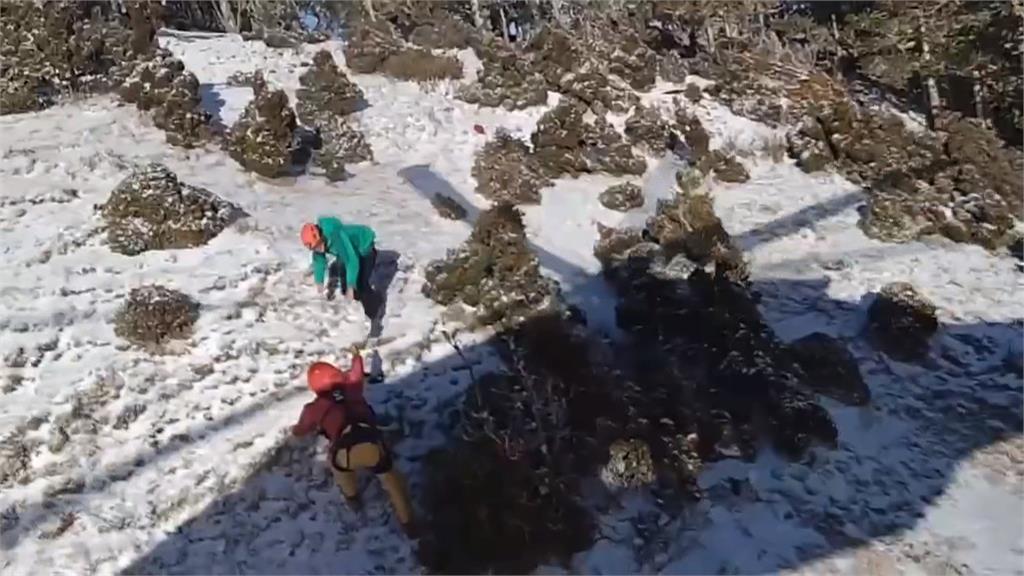 合歡山積雪未退氣溫低　2山友失溫獲救2人掛雪鏈猝死