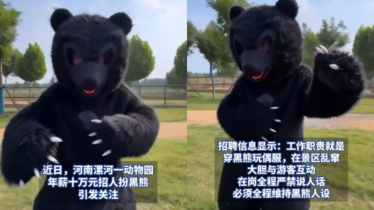 中國動物園開奇葩職缺!年薪47萬應徵唯一條件「嚴禁說人話」報名秒殺