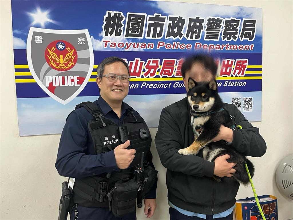 好動黑柴趁隙溜出門　龜山警鷹眼發現牠蹤影