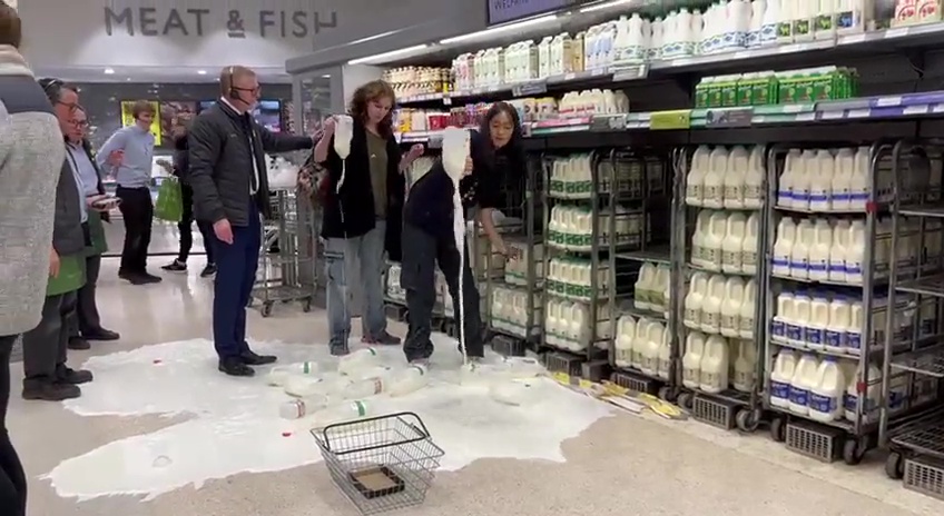 環團人士又出招！素食者闖超市「狂倒牛奶」抗議　引眾怒：浪費食物