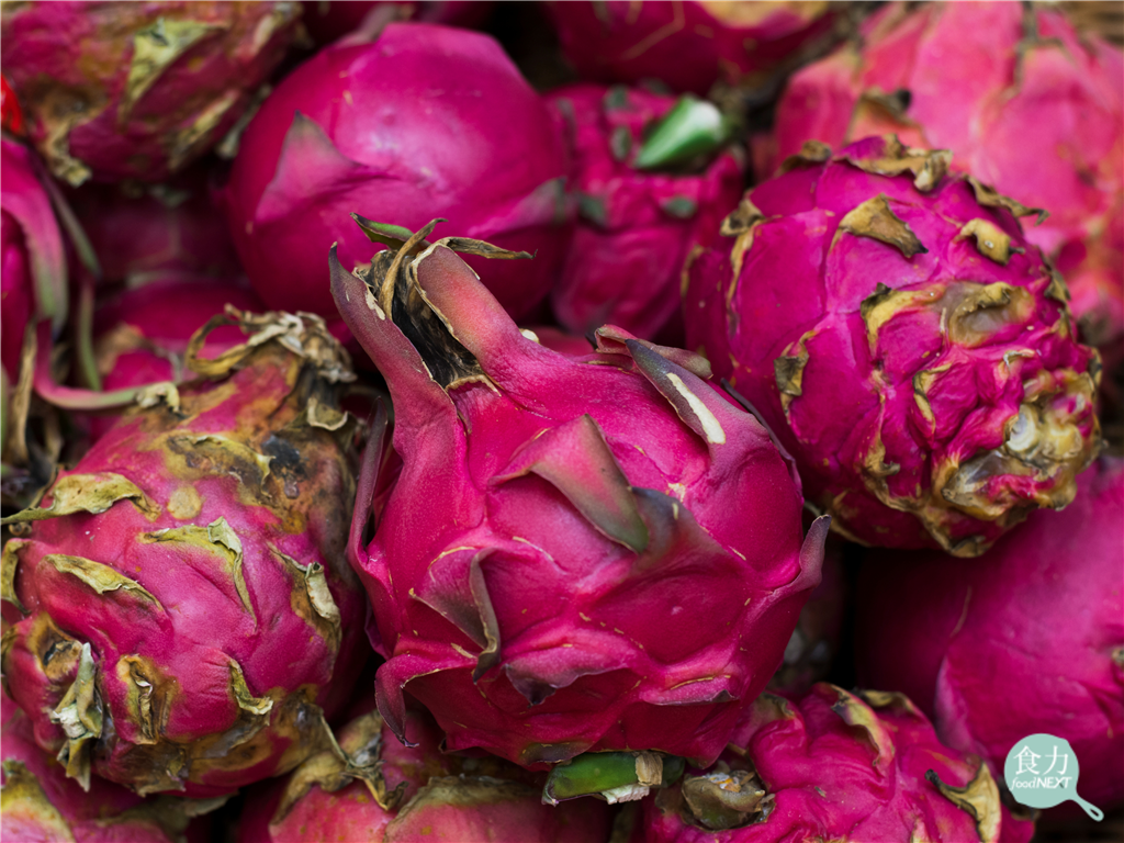 火龍果果皮成機能性麵包原料　提升抗氧化力、展現延緩消化潛力