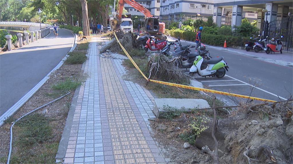 高雄河堤人行道颱風後毀損慘　半年後未修繕？水利局回應了