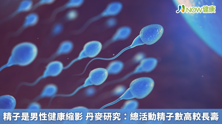 精子是男性健康縮影　丹麥研究：總活動精子數高較長壽