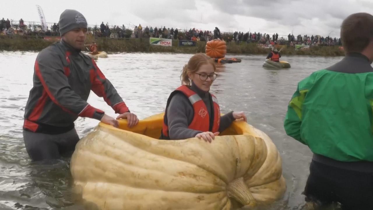 比利時小鎮划南瓜賽登場 步驟講究巨大南瓜漂浮當船