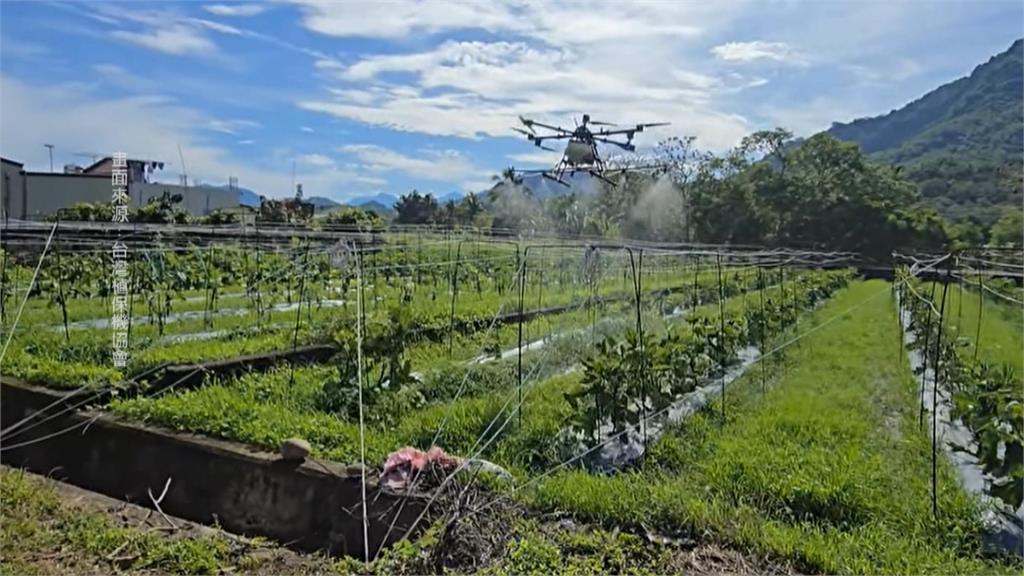 農地無預警被列「軍事紅區」　無人機無法噴藥　高雄旗山、美濃農民痛訴