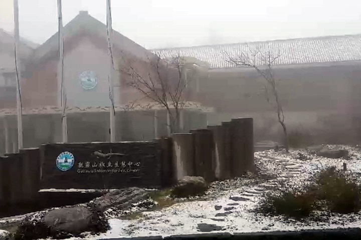 寒流持續發威 福壽山成了雪白世界！