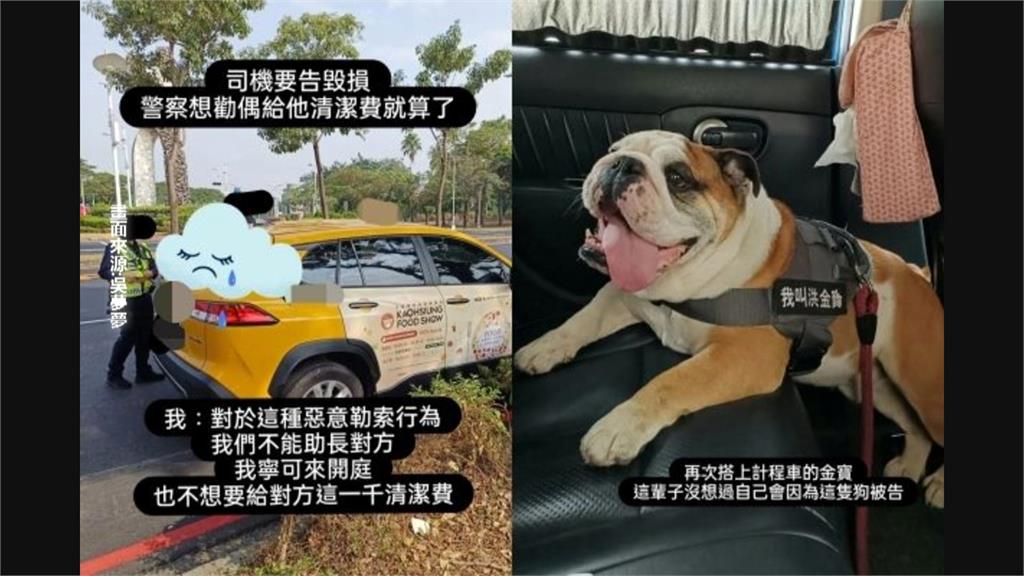 吳夢夢帶愛犬搭車被索討千元　運將控弄髒坐墊！雙方鬧上警局