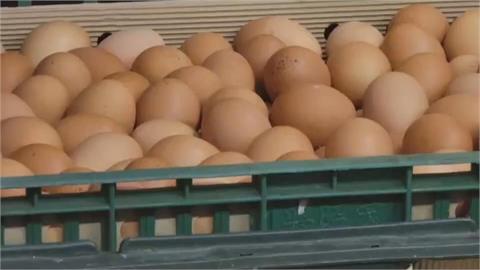 蛋將變貴！農委會明停止蛋農「3加2」補貼　批發價及產地價升2元