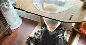 貓爬架放窗邊出事！透明太空艙「聚光點火」畫面曝　家中險燒成廢墟