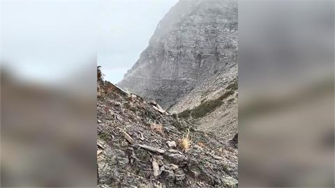 快新聞／合歡山天氣濕冷　中午下冰霰「雪白冰珠紛落」！