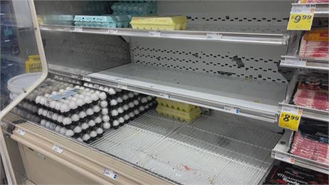 禽流感疫情擴大美蛋價居高不下　紐約民眾「一個月沒吃雞蛋」