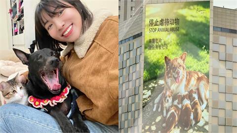 中國虐狗事件「竟無法可罰」引公憤！米可白二度聲援：未成年不是藉口