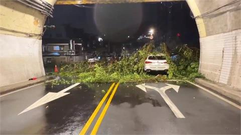 基隆光華隧道驚魂夜！　5公尺大樹滑落邊坡砸車　駕駛嚇壞