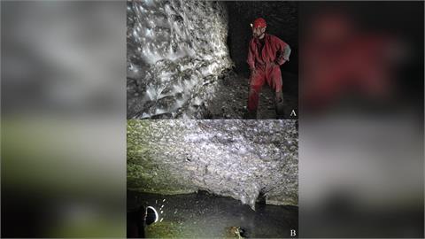 快新聞／毛骨悚然！科學家發現「全球最大蜘蛛網」　竟藏11.1萬隻