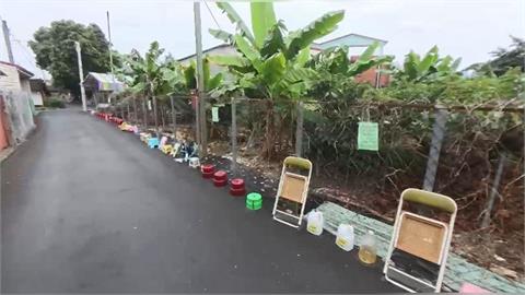 紫南宮馬年錢母造型曝光！ 元旦開放領取已有人「佔位」