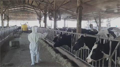 飼料飆漲　酪農爭取調漲生乳收購價8－10% 