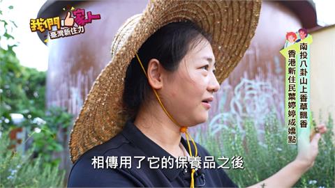 南投八卦山上香草飄香 香港新住民葉婷婷成嬌點