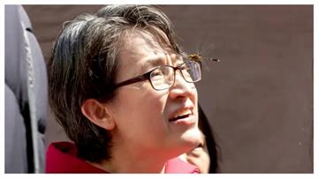 好兆頭！嘉義走春蜻蜓停在眼鏡框上　蕭美琴：謝謝、穿越人群送來祝福