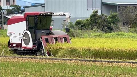 快新聞／農業部2期水稻收入保險　累計4萬餘農民獲賠5.28億