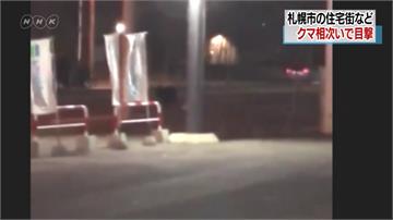 北海道札幌市區有熊出沒！警方籲民眾須小心