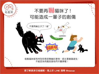 【做個好貓奴】嚇貓好好玩？這麼做可能造成貓貓一輩子的創傷！
