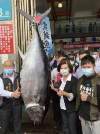 蘇澳第一鮪每公斤8300元賣出　總價近152萬