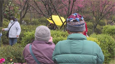 冷氣團發威！12縣市低溫特報　冷到明天