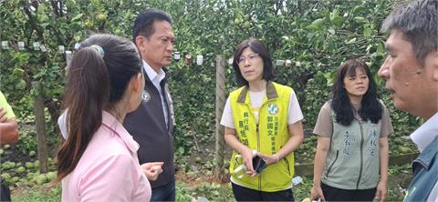快新聞／丹娜絲強襲台南！ 2綠委出手助農民　邀總統下鄉勘災