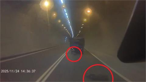 快新聞／「豬」事不順？新北觀音山隧道「三隻小豬跳車」　飼主慘吞9千元罰單