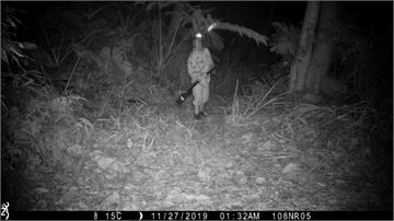 「山貓森林」保育石虎 驚傳獵人持槍狩獵