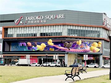 台灣最大全新打造裸視3D影片「貓之幻夢」　2/22新竹大魯閣邀你一同來曬貓！