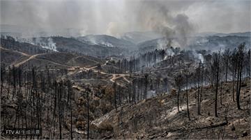 西班牙南部野火再添一死　累計14亡創20年最慘紀錄