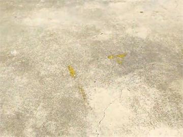 苗栗民宅遭「蛋洗隊」突襲　原來是「她」欠債連累屋主