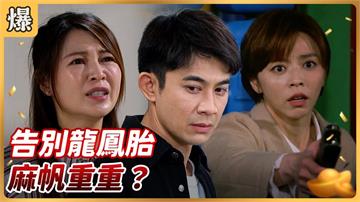 同年同月同日生雙生兄妹，一善一惡命運大不同？《好運來-EP259精彩片段》