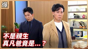 不是父子勝似父子！收養律師內幕驚天爆？《豆腐媽媽-EP71精彩片段》