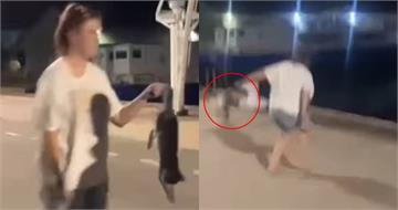 小貓遭撞死！女嘻笑將屍體「丟入大海」一旁還有兔子浮屍