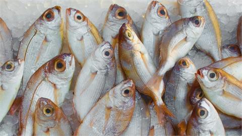 傳統市場不踩雷「挑魚術」真有？魚販親揭「3大祕訣」：別被魚騙了！