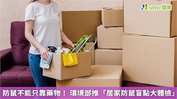 防鼠不能只靠藥物！ 環境部推「居家防鼠盲點大體檢」