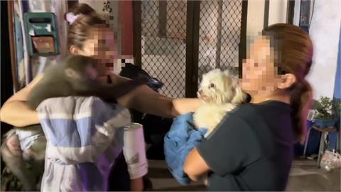 高雄民宅惡火!女屋主抱「寵物猴」逃生 勇消救出1狗