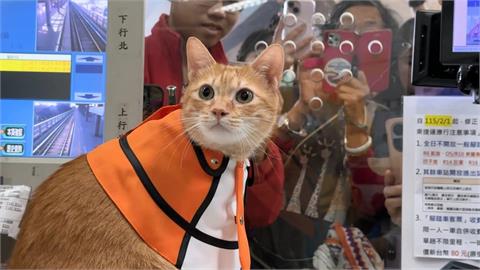 蜜柑站長回娘家! 上演超萌換裝秀 值班台擠滿粉絲