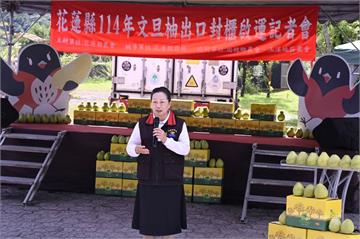 花蓮文旦柚出口直通沃爾瑪零售　結合國際布局、品牌行銷三箭齊發
