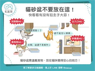 【貓奴必看】貓砂盆不要放在這！小心犯了主子大忌！