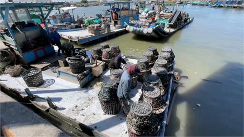 東石蚵「產量剩2成」颱風又來！　蚵農搶收拚守心血