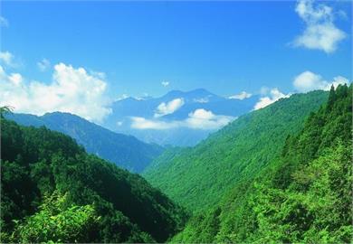 快新聞／天兔颱風減弱為熱帶性低壓　太平山國家森林遊樂區明天開園