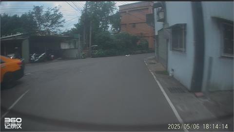 快新聞／遛狗不牽繩出事了！跑到馬路上遭輾斃　飼主、駕駛都得挨罰