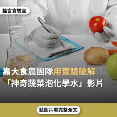 事實查核／【謠言實驗室】嘉大食農團隊用實驗破解「神奇蔬菜泡化學水」影片